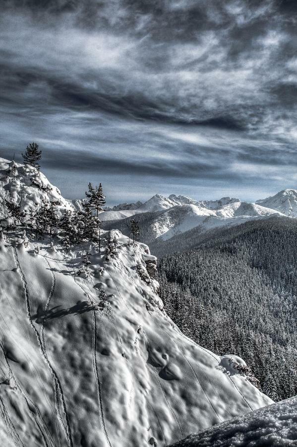 Willa Zbikowka Zakopane Buitenkant foto